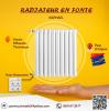 RADIATEUR EN FONTE DE TYPE RAPHAEL