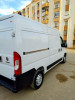 Fiat ducato 2023