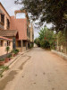 Vente Villa Chlef Chlef