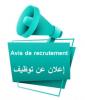 offre d'emploi 