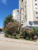 Vente Appartement F3 Alger El achour