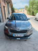 Skoda KAMIQ 2023 Tout option