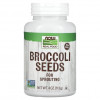 Grains de Broccoli 113g بذور بروكلي للاستنبات