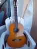 Guiatre yamaha c45