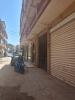 Location Niveau De Villa F3 Tipaza Kolea