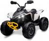 KIDS ATV 12v Voiture électrique