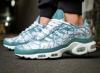 Nike air Max plus 2023