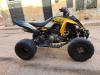 Yamaha Raptor anniversaire 2017