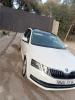 Skoda Octavia 2017 Elegance DGS