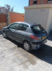 Peugeot 206 2006 206