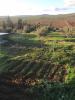 Vente Terrain Agricole Sidi bel abbes Sidi hamadouche