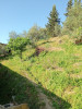 Vente Terrain Jijel El milia