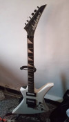 JACKSON 24 cases Floyd Rose