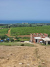 Vente Terrain Boumerdes Zemmouri