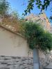 Vente Villa Constantine El khroub