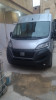 Fiat Ducato 2023 Ducato