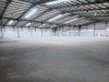 Location Hangar Alger Les eucalyptus