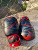 Gants de boxe venom 