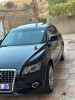 Audi Q5 2012 Off Road