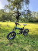 Fiido Electric Bike M1 pro Velo Electric 