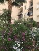 Vente Appartement F3 Tipaza Bou ismail