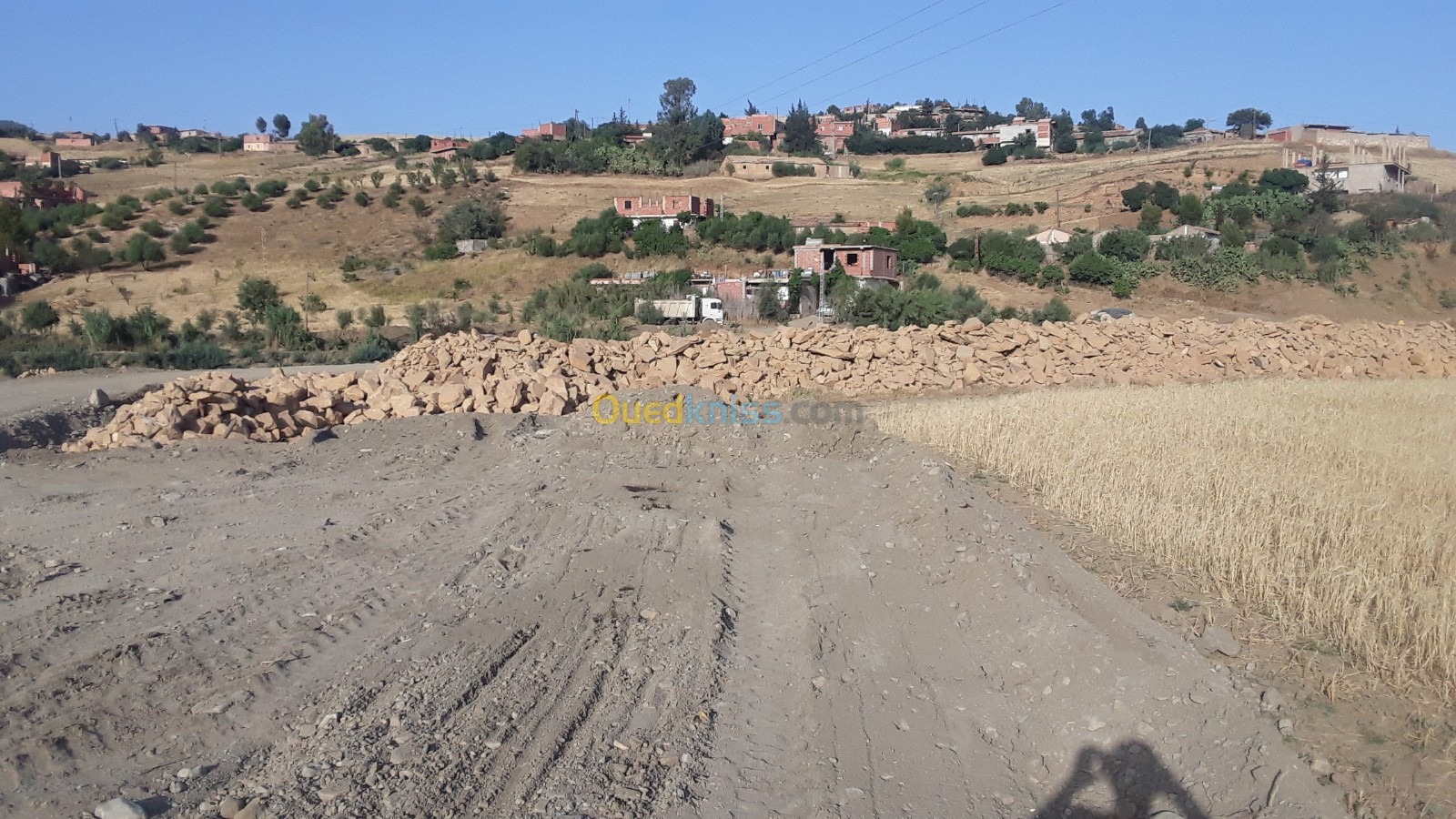 Vente Terrain Tissemsilt Lardjem