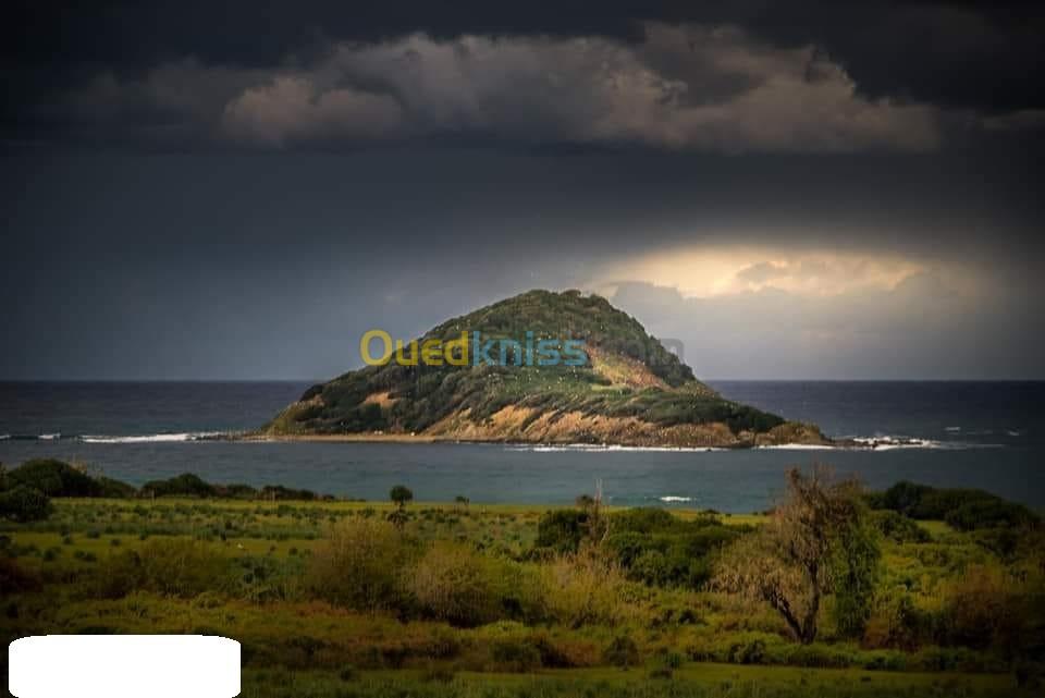 Vente Terrain Jijel El aouana