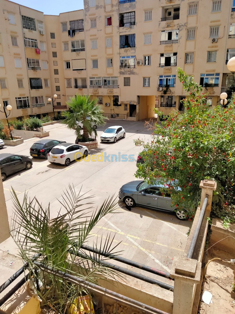 Vente Duplex F7 Alger Souidania