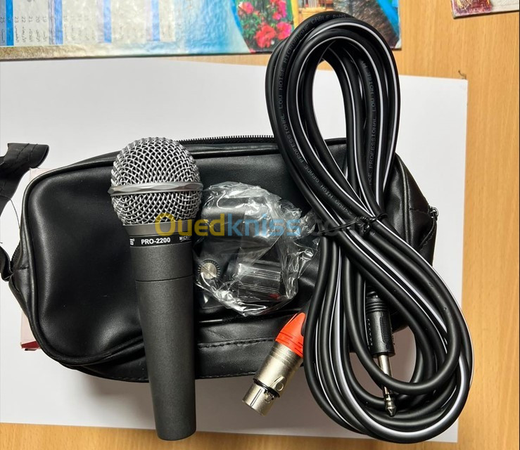 Microphone professionnel supercardioïde dynamique filaire 