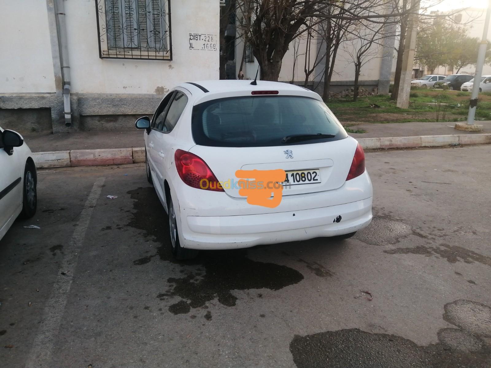 Peugeot 207 2008 207