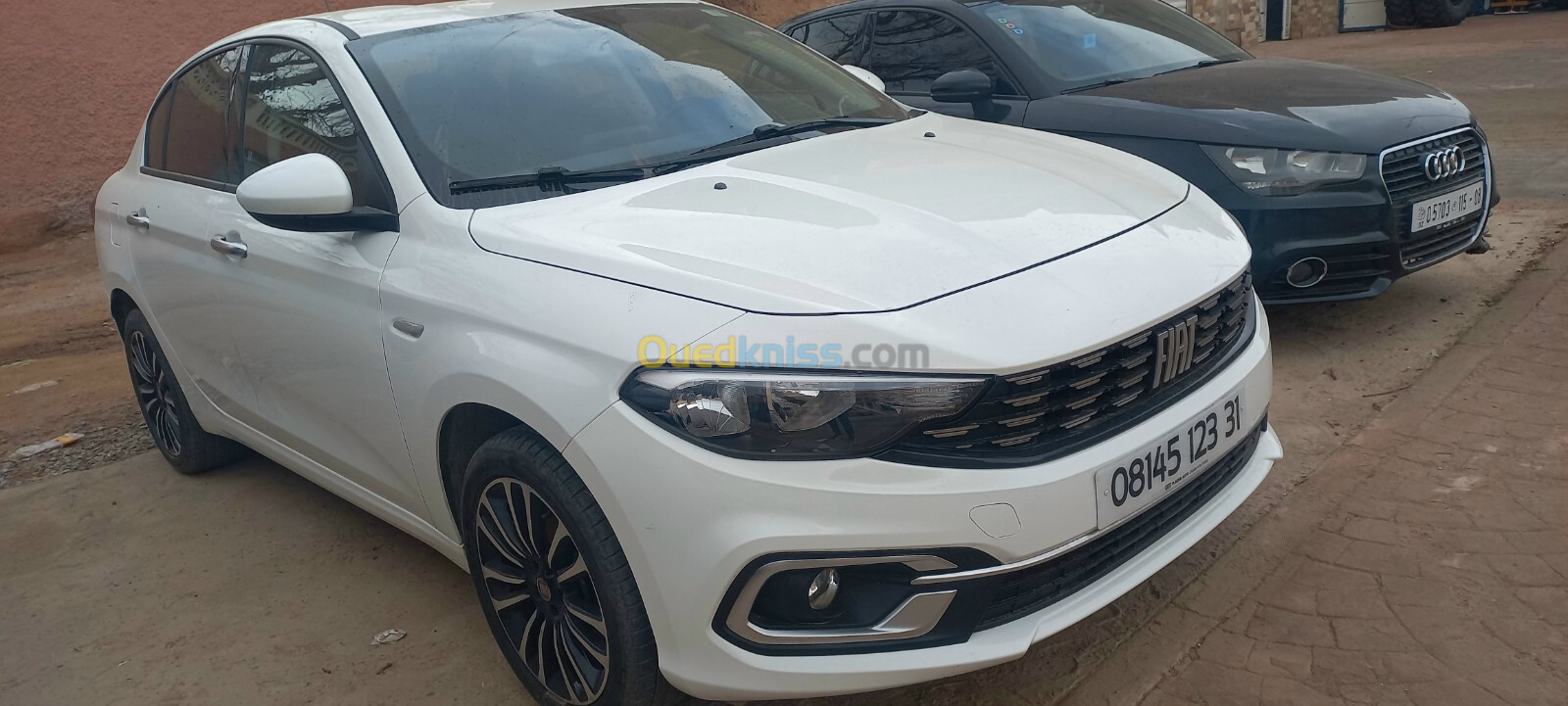 Fiat Tubo live 2023 Live