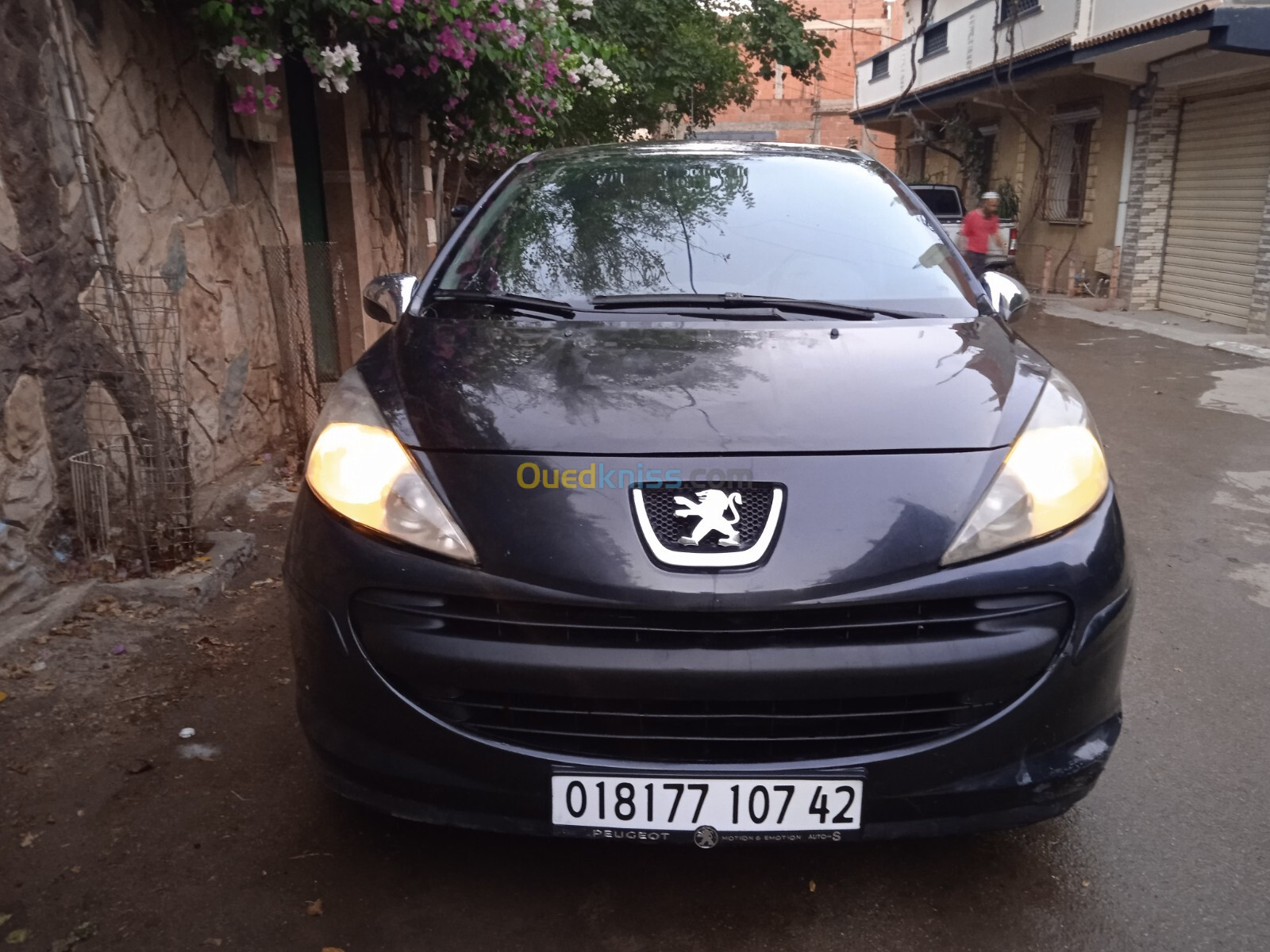 Peugeot 207 2007 207