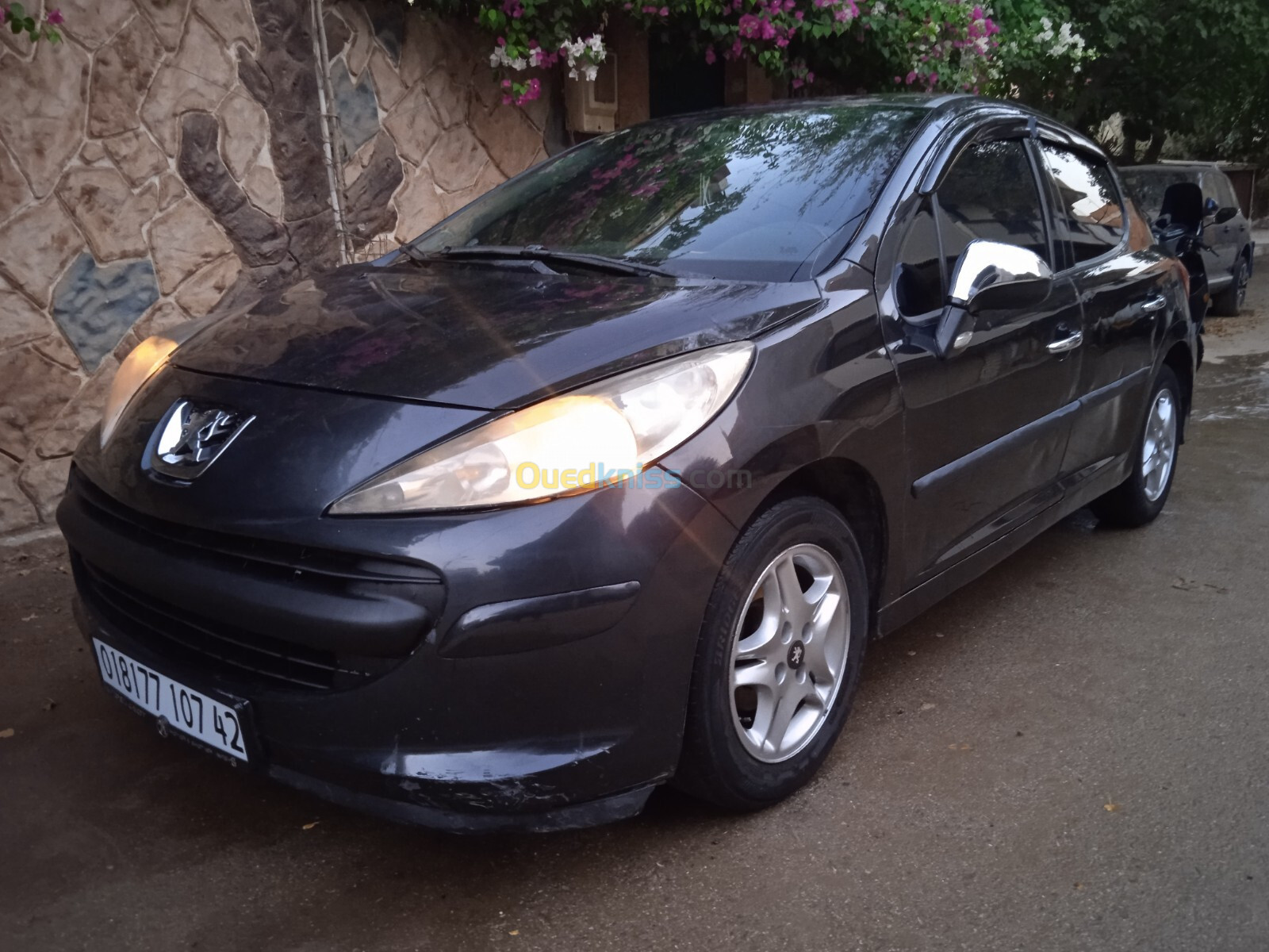 Peugeot 207 2007 207