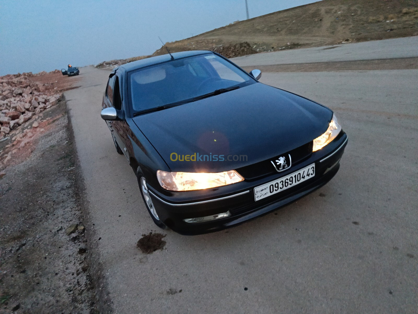 Peugeot 406 2004 406