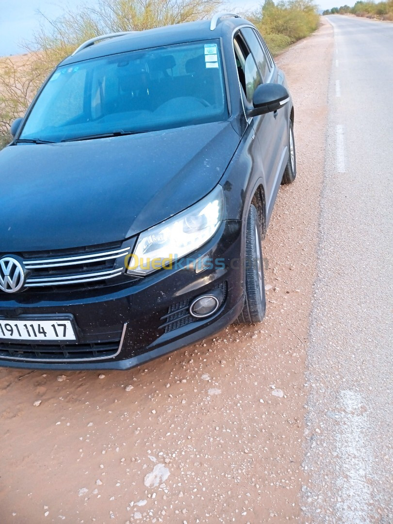 Volkswagen Tiguan 2014 Tiguan