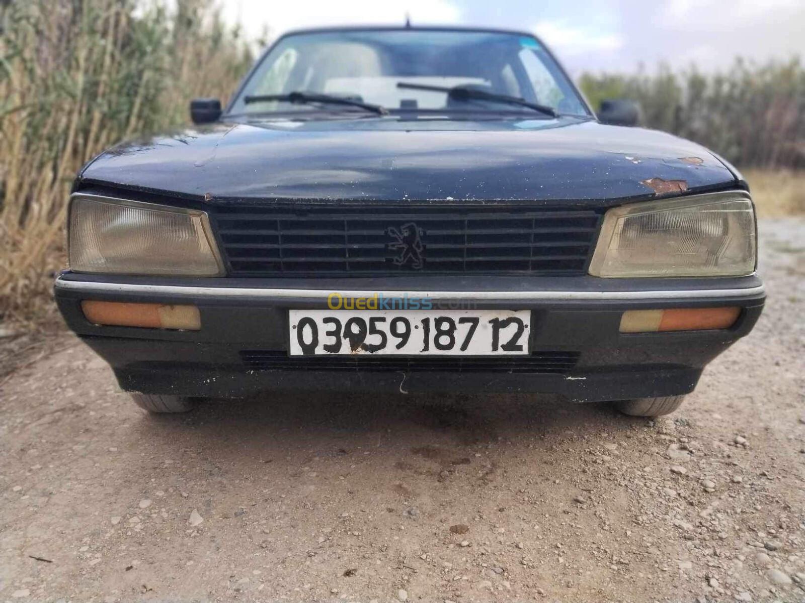 Peugeot 505 1987 505