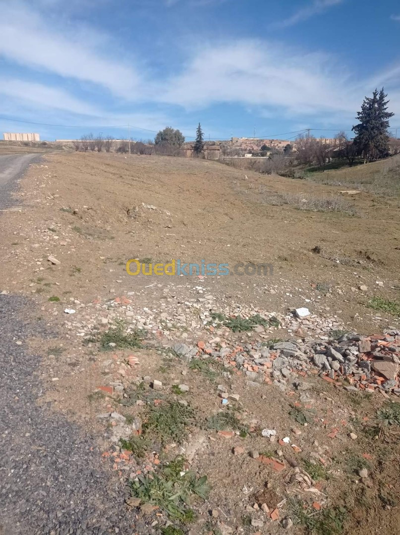 Vente Terrain Agricole Médéa Berrouaghia