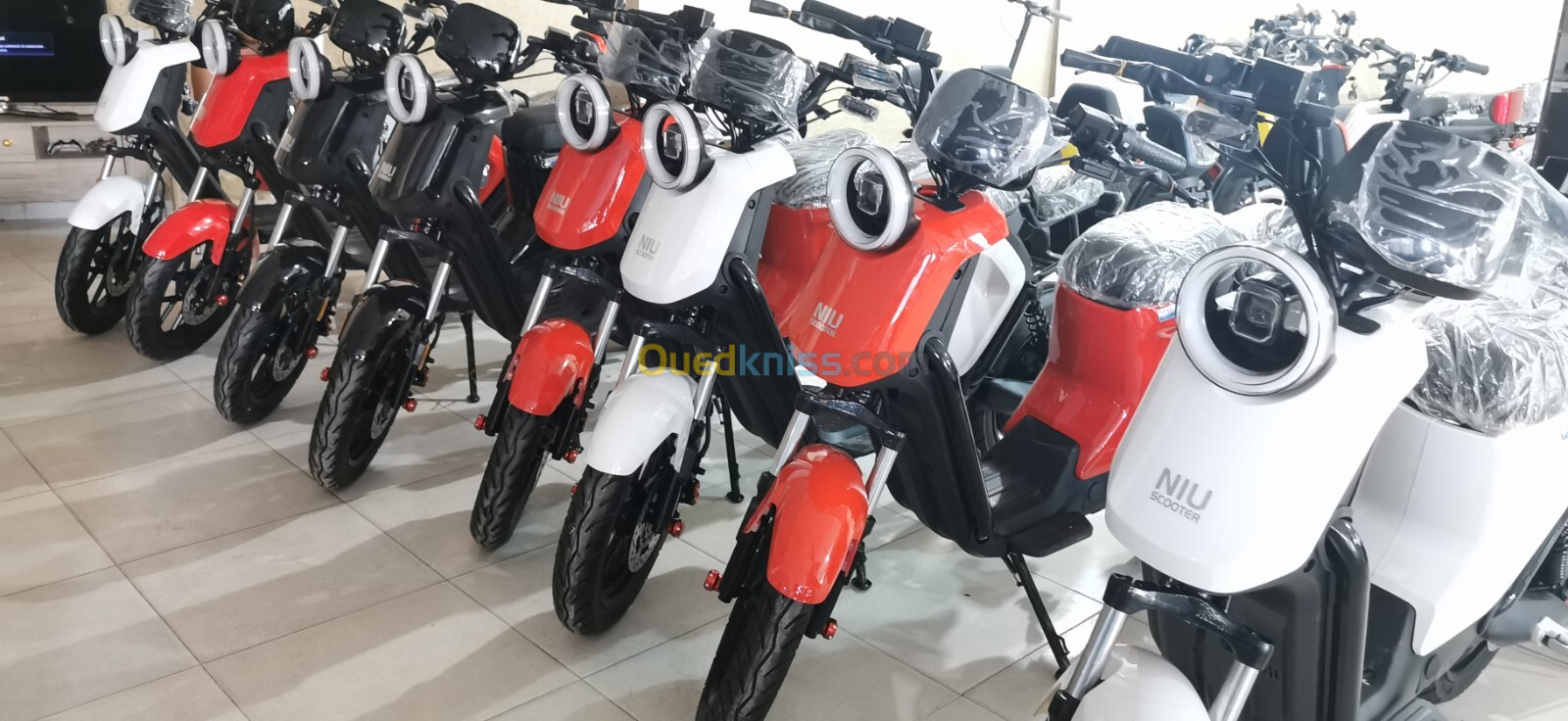 Scooter électrique Mimebot WALIDO Scooter électrique Mimebot WALIDO 2024