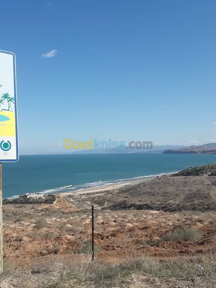 Vente Terrain Tlemcen Msirda fouaga