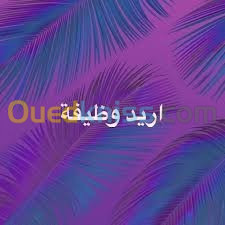 أريد وضيفة 