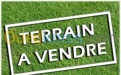 Vente Terrain Oran Oran