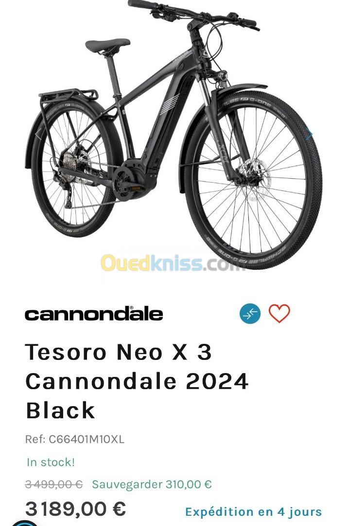 VÉLO ÉLECTRIQUE 