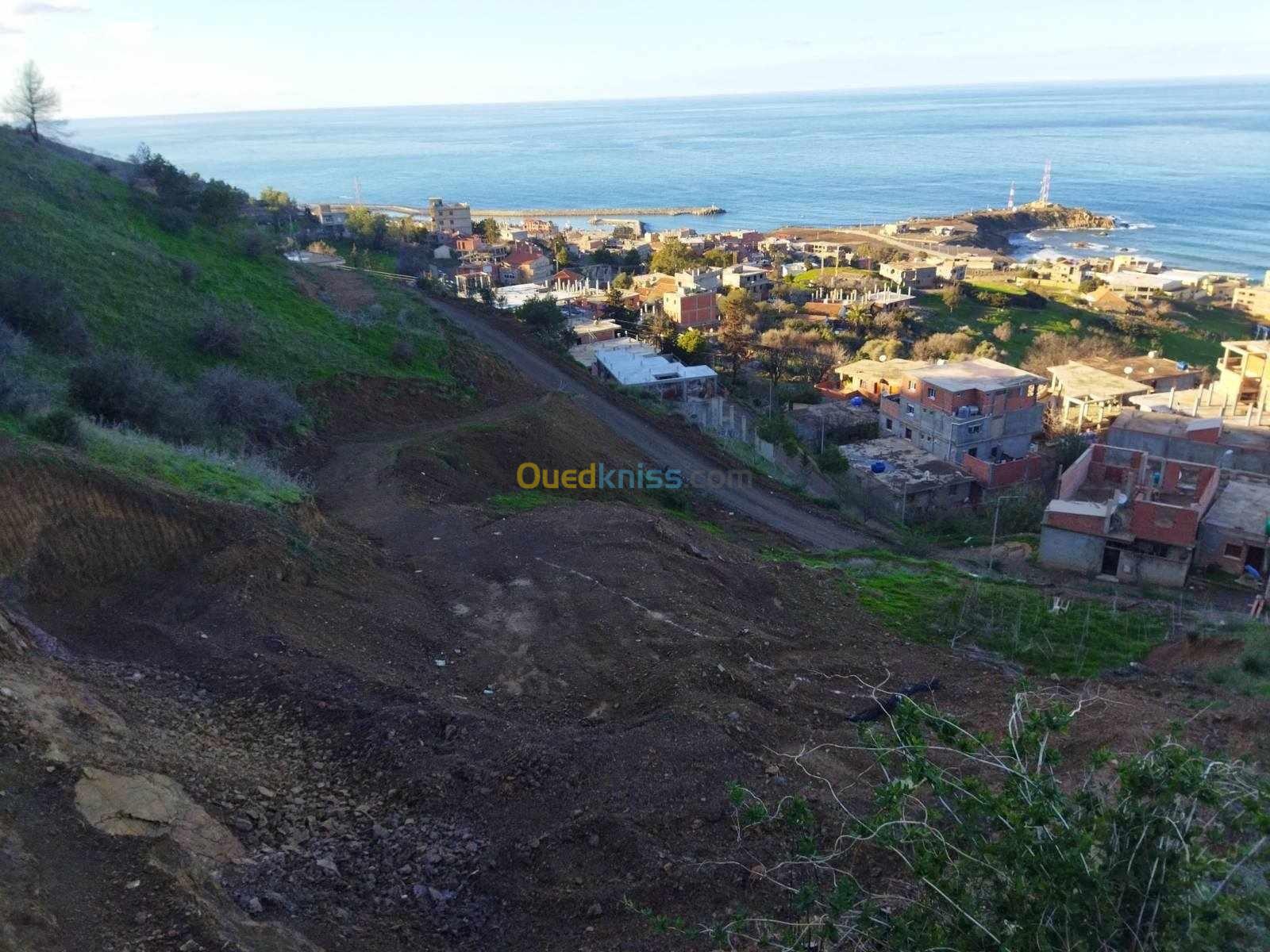 Vente Terrain Tipaza Gouraya