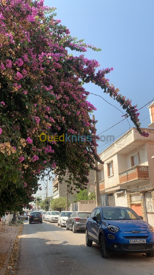 Vente Appartement F3 Alger Oued smar