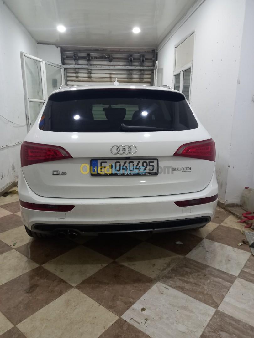 Audi Q5 2010 S Line Pack Tech