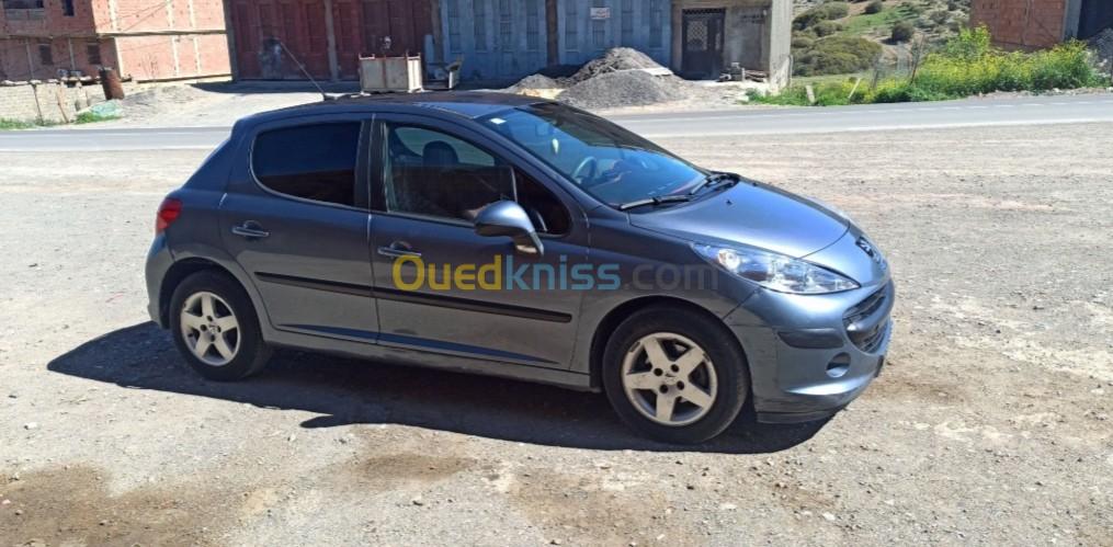 Peugeot 207 2007 Premium