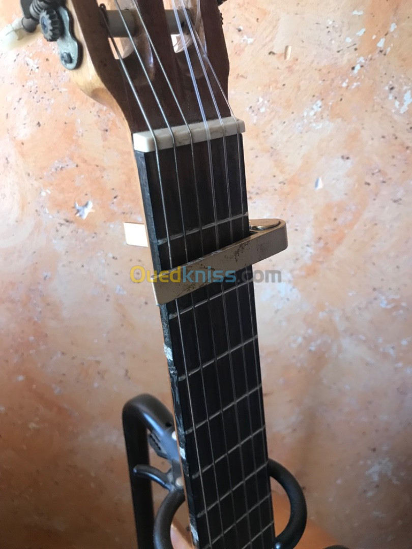 Guitare plus capot et porte guitare 