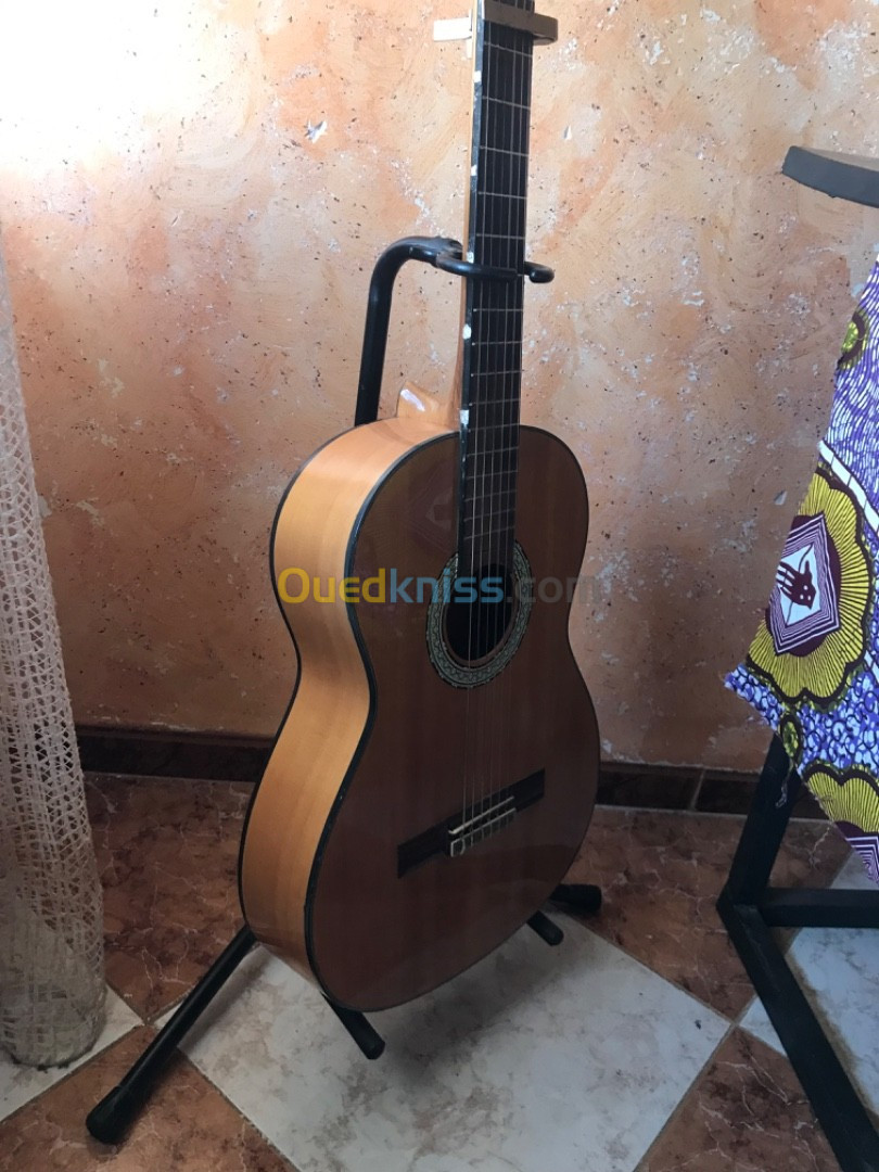 Guitare plus capot et porte guitare 