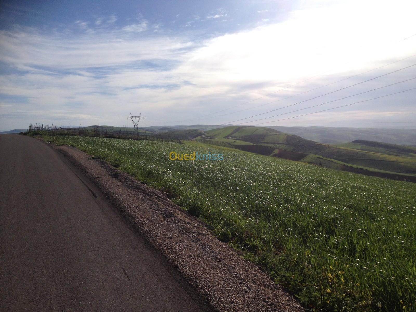 Vente Terrain Tlemcen Remchi