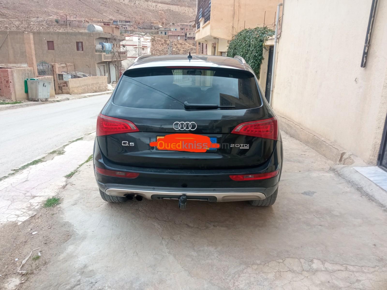 Audi Q5 2010 